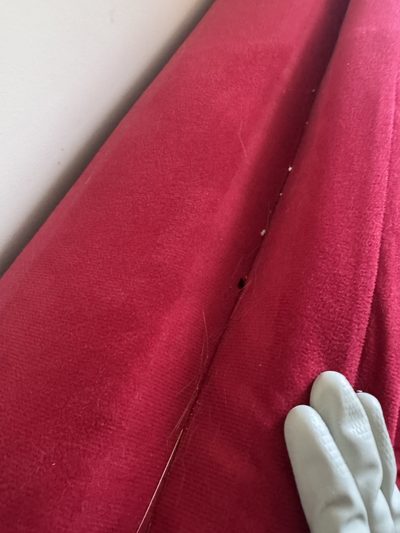 Sofá vermelho: sofá vermelho, antes da higienização